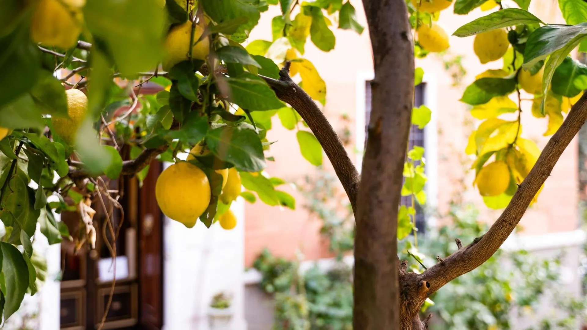 ** Frühstückspension Bed and Breakfast Contessa Arrivabene Antica Dimora Rom Italien